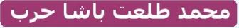 محمد طلعت باشا حرب